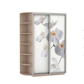 Шкаф двухдверный Экспресс 1700x600x2200, со стеллажом, Орхидея белая/дуб молочный в Нальчике