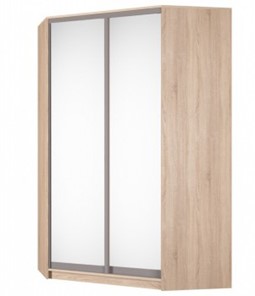 Угловой шкаф Аларти (YA-230х1400(602) (4) Вар. 4; двери D5+D5), с зеркалом в Нальчике