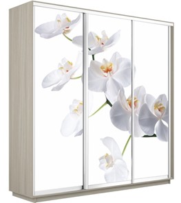 Шкаф 3-створчатый Экспресс 1800х600х2200, Орхидея белая/шимо светлый в Нальчике
