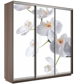 Шкаф трехдверный Экспресс 2100х600х2200, Орхидея белая/шимо темный в Нальчике