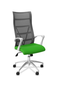 Офисное кресло для руководителя Топ X белый каркас, сетка/ткань TW / серая/салатовая в Нальчике