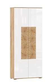 Шкаф двухстворчатый Фиджи с декоративными накладками 659.310, Дуб Золотой/Белый в Нальчике