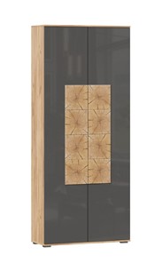 Шкаф двухстворчатый Фиджи с декоративными накладками 659.310, Дуб Золотой/Антрацит в Нальчике
