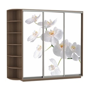 Шкаф 3-х дверный Экспресс со стеллажом, 2100х600х2200, Орхидея белая/шимо темный в Нальчике - предосмотр