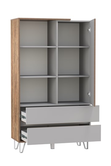 Комбинированный шкаф Гавана 58.10 в Нальчике - изображение 1