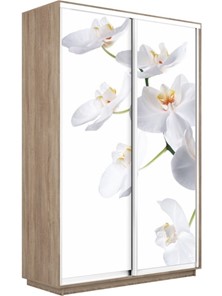 Шкаф 2-х дверный Экспресс 1600x450x2400, Орхидея белая/дуб сонома в Нальчике