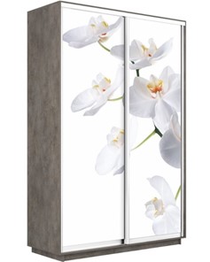Шкаф 2-створчатый Экспресс 1600x600x2400, Орхидея белая/бетон в Нальчике