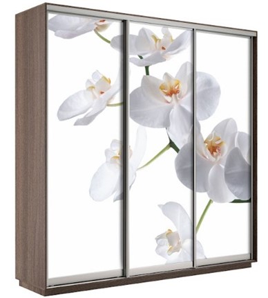 Шкаф Экспресс 1800х600х2200, Орхидея бела/шимо темный в Нальчике - изображение