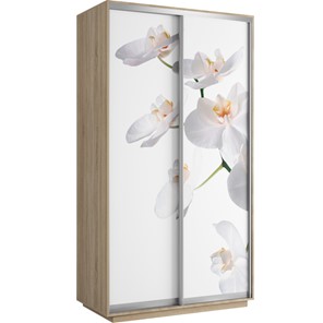 Шкаф 2-х створчатый Хит 1200x600x2200, белая орхидея, ясень шимо светлый в Нальчике