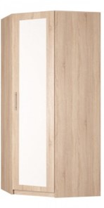 Распашной шкаф угловой Реал (YR-230х1034 (3)-М Вар.4), с зеркалом в Нальчике - предосмотр