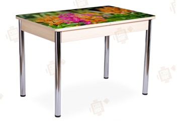 Кухонный стол раздвижной Айсберг-02 СТФ, Дуб ЛДСП/полевые цветы/ноги хром прямые в Нальчике