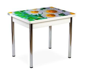 Кухонный пристенный стол СПА-01 СТФ, белый/фотопечать ромашки/опоры прямые хром в Нальчике