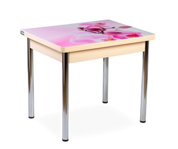 Кухонный пристенный стол СПА-01 СТФ, молочный дуб/фотопечать орхидея/опоры прямые хром в Нальчике - предосмотр