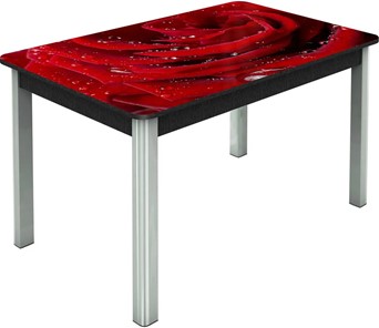 Обеденный раздвижной стол Гамбург исп. Мини, ноги метал. крашеные №23, Фотопечать (Цветы №39) в Нальчике
