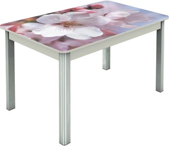 Обеденный раздвижной стол Гамбург исп.2 ноги метал. крашеные №23, Фотопечать (Цветы №15) в Нальчике
