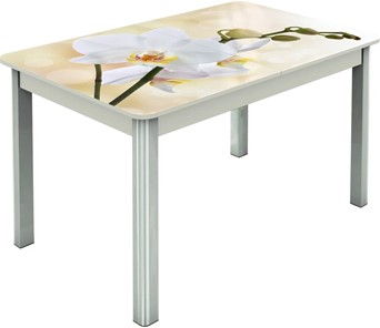 Раздвижной стол Гамбург исп.2 ноги метал. крашеные №23, Фотопечать (Цветы №5) в Нальчике