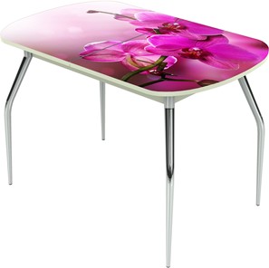 Кухонный стол раздвижной Ривьера исп.1 ноги метал. крашеные №24 Фотопечать (Цветы №16) в Нальчике