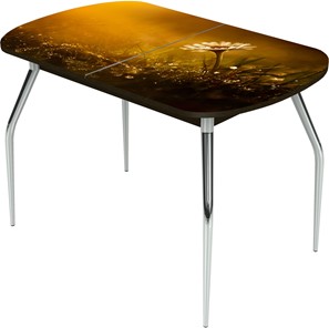 Кухонный стол раздвижной Ривьера исп.2 ноги метал. крашеные №24 Фотопечать (Цветы №43) в Нальчике