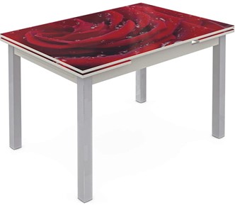 Кухонный стол раскладной Шанхай исп. 2, ноги метал. крашеные №21 Фотопечать (Цветы №39) в Нальчике