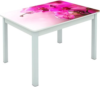 Обеденный стол Мюнхен исп. 1 ноги метал. крашеные №23 Фотопечать (Цветы №16) в Нальчике