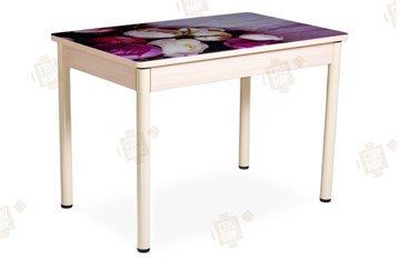 Кухонный стол раздвижной Айсберг-01 СТФ, дуб/фотопечать пионы/ноги крашеные в Нальчике