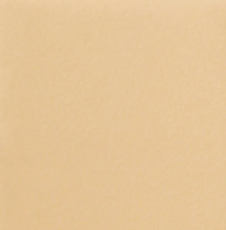 Стул кухонный Роджер Эконом С102-2(стандартная покраска) в Нальчике - изображение 9