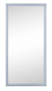 Зеркало навесное Ника (Серый) 119,5 см x 60 см в Нальчике