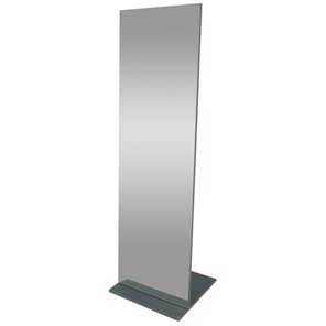 Напольное зеркало Стелла (графит темный) 163,5 см x 50 см в Нальчике