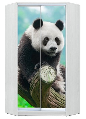Шкаф угловой Хит-У-24-4-77-29, Панда, Белый в Нальчике - изображение