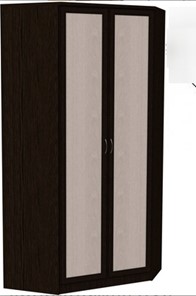 Распашной шкаф 403 несимметричный, цвет Венге в Нальчике - предосмотр