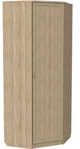 Распашной шкаф 400 угловой, цвет Дуб Сонома в Нальчике - предосмотр