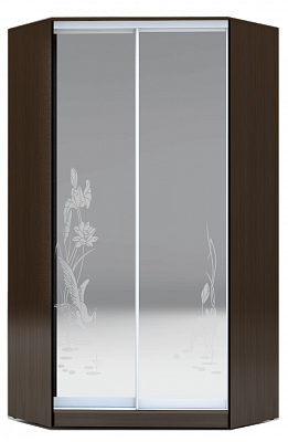 Шкаф-купе 2300х1103, ХИТ У-23-4-66-01, цапля, 2 зеркала, венге аруба в Нальчике - изображение