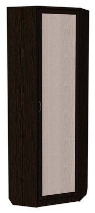 Распашной шкаф 402 угловой со штангой, цвет Венге в Нальчике - изображение