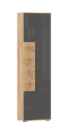 Шкаф одностворчатый Фиджи с декоративными накладками 659.300, Дуб Золотой/Антрацит в Нальчике - изображение