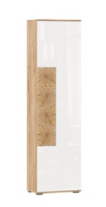 Шкаф одностворчатый Фиджи с декоративными накладками 659.300, Дуб Золотой/Белый в Нальчике