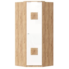 Шкаф угловой 45 с декоративной накладкой Фиджи, 659.248, белый в Нальчике - предосмотр