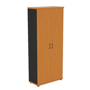 Шкаф 2-створчатый Моно-Люкс R5S05 в Нальчике - предосмотр