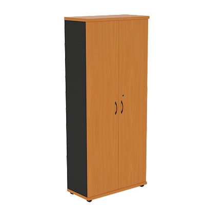 Шкаф 2-створчатый Моно-Люкс R5S05 в Нальчике - изображение