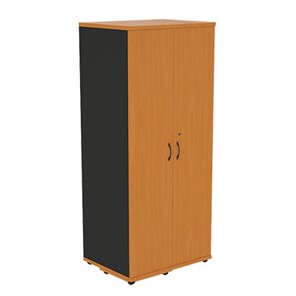 Шкаф для одежды Моно-Люкс G5A05 в Нальчике - предосмотр