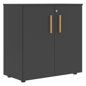 Низкий шкаф с малыми дверцами широкий FORTA Черный Графит FLC_80.1_Z__grafit.png FLC 80.1(Z) (798х404х801) в Нальчике