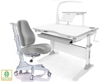 Растущая парта + стул Mealux EVO Evo-30 G (арт. Evo-30 G + Y-528 G) (дерево)/(стол+полка+кресло+чехол+лампа)/ белая столешница (дерево), цвет пластика серый в Нальчике