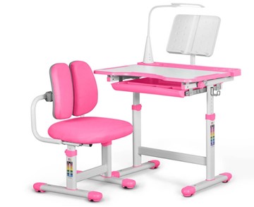 Парта растущая + кресло растущее Mealux EVO BD-23 Pink в Нальчике