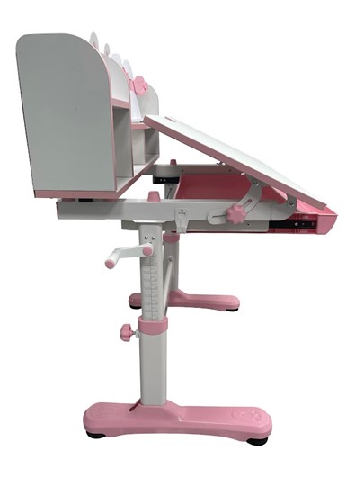 Парта растущая и стул Carezza Pink FUNDESK в Нальчике - изображение 7