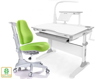 Растущая парта + стул Mealux EVO Evo-30 G (арт. Evo-30 G + Y-528 KZ) (дерево)/(стол+полка+кресло+чехол+лампа)/ белая столешница (дерево), цвет пластика серый в Нальчике